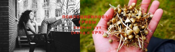 Альфа ПВП Арсеньев