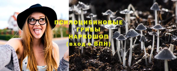 Альфа ПВП Арсеньев