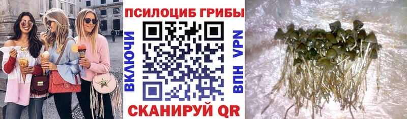 Галлюциногенные грибы Psilocybine cubensis  Учалы 
